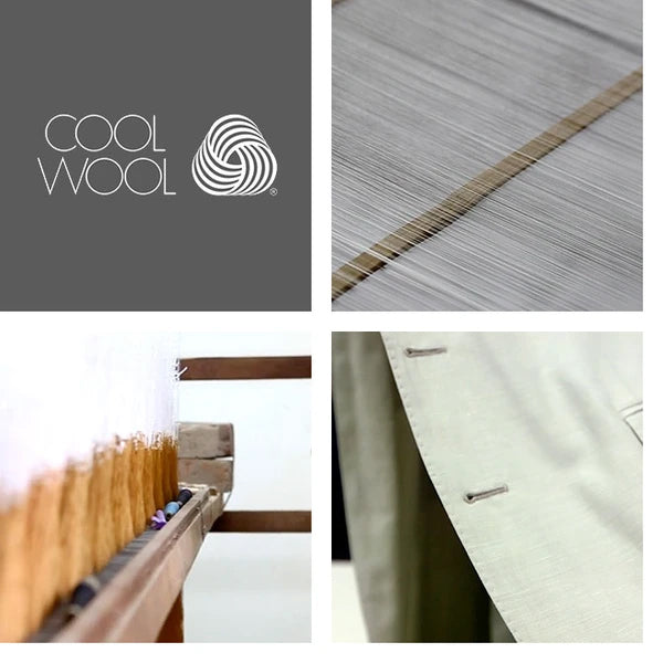 THE WOOLMARK COMPANY X RAYMONDS